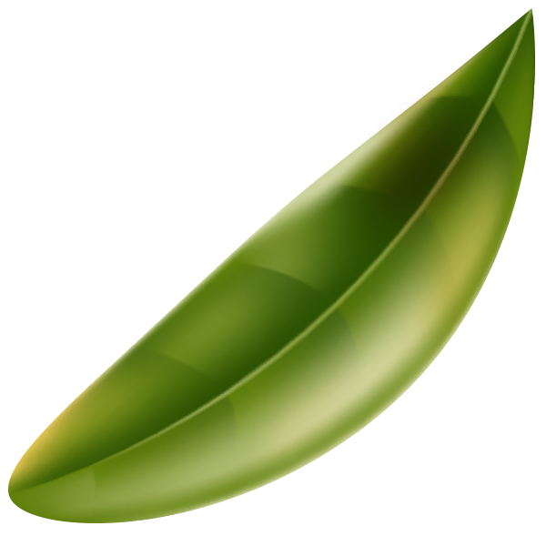Floating Leaf